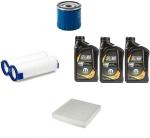 AOQ - KIT TAGLIANDO 3 FILTRI  CON 3 LT OLIO SELENIA ECO PLUS 0W20 PER  FIAT 500 (312) 1.0 HYBRID e 500 cabrio HYBRID 51KW 69CV